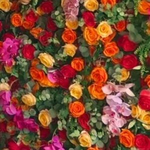 Meet your Posher, Sanaz